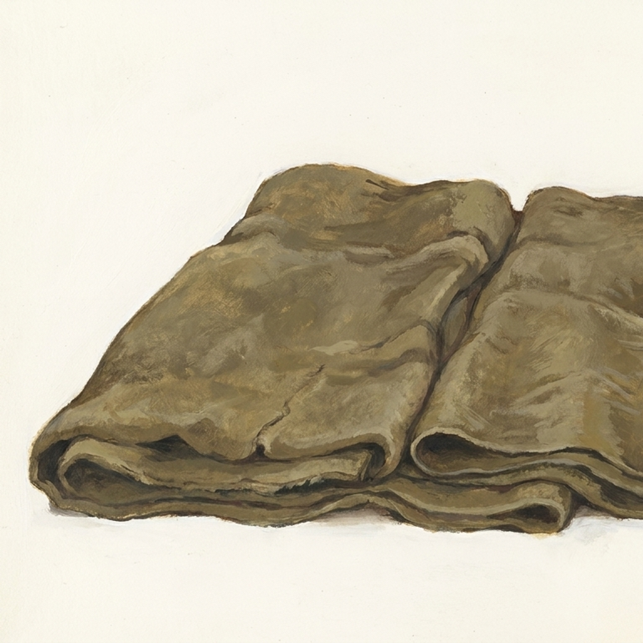 the boy's sleeping blankets